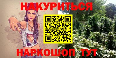 мдпв Новокубанск