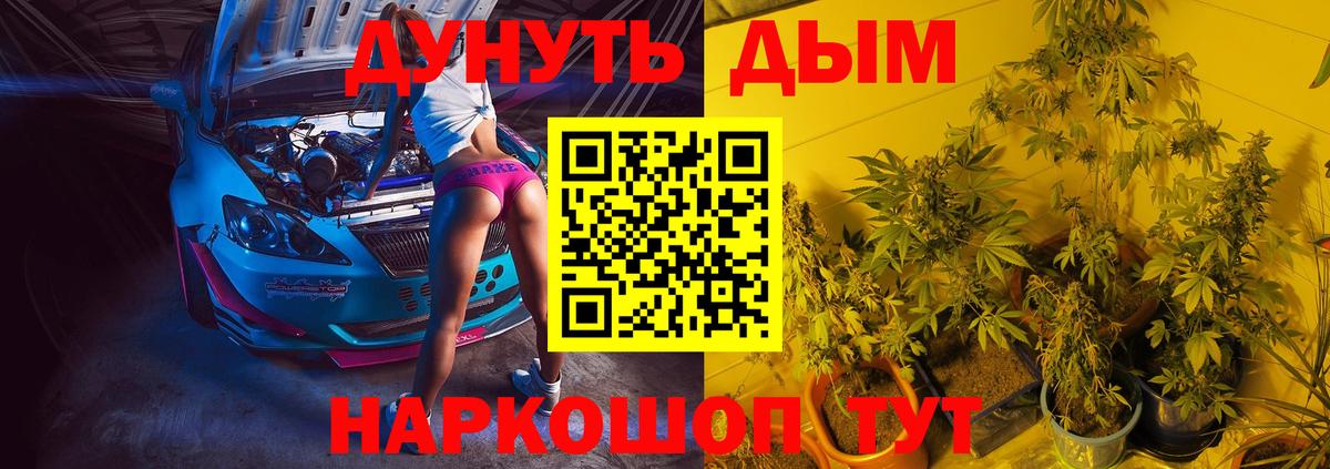Бошки марихуана планчик  Конопля конопля  Вход с VPN  МАРИХУАНА план  Улан-Удэ 